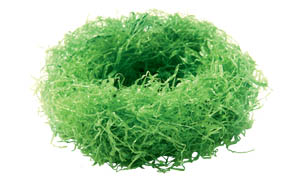 Ostergras symbolisiert das neue Leben zu Ostern.