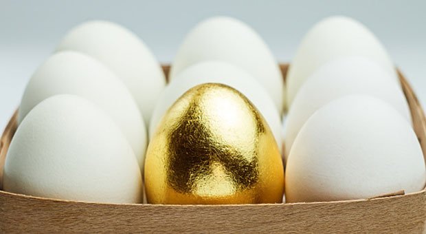 So wertvoll und selten wie ein goldenes Ei sind viele Spezialisten. Sie zu führen, bedeutet für Chefs eine Herausforderung.