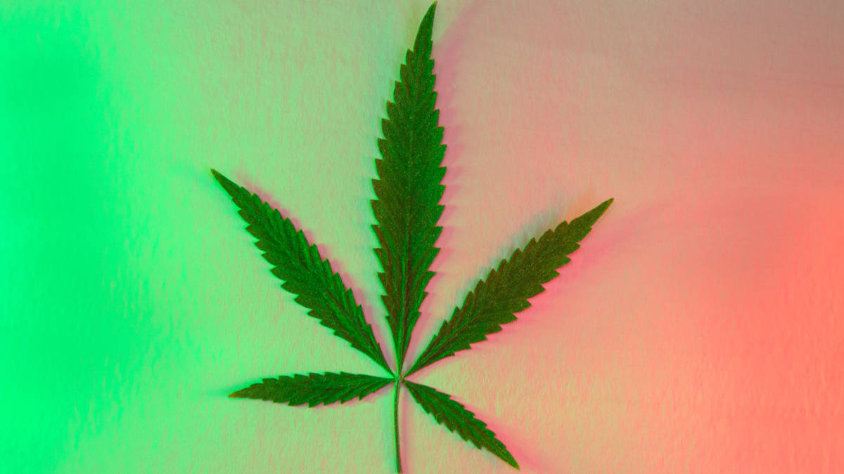 Cannabisgesetz