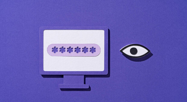 Papierschnitt eines Computerbildschirms mit einem Passwort darauf und einem einzelnen Auge, dass auf diesen Bildschirm schaut, rechts daneben.